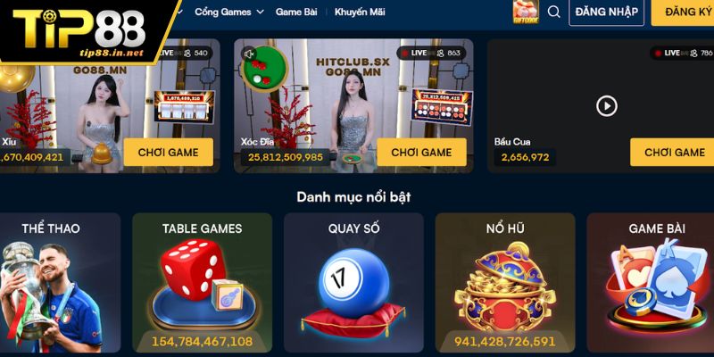 Mục đích hoạt động, cam kết và sứ mệnh phát triển của TIP88